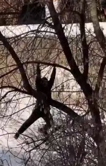«Наконец-то высплюсь на выходных»