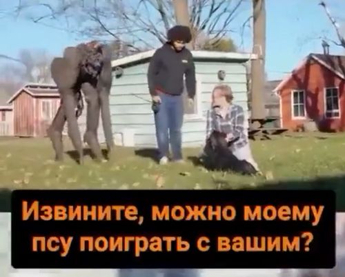 Хороший питомец⁠⁠