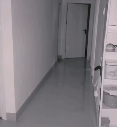Подъехал на рейв красиво!