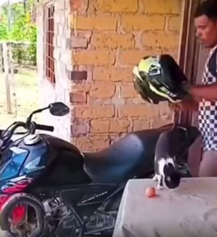 А кто это сделал?