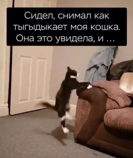 Привет!