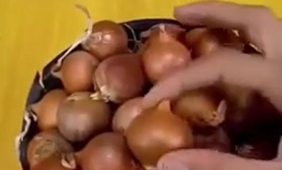 Хозяйкам на заметку