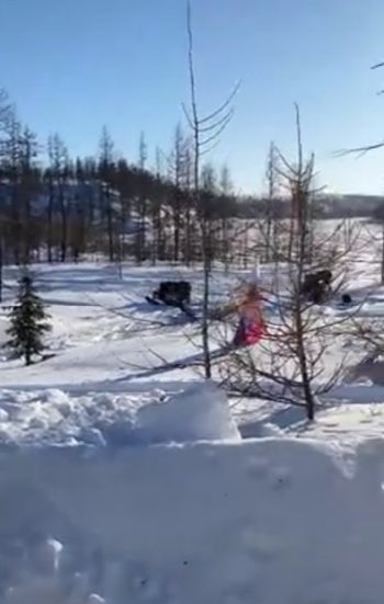 Новые приключения соболя Феди. Воришка утащил рыбу