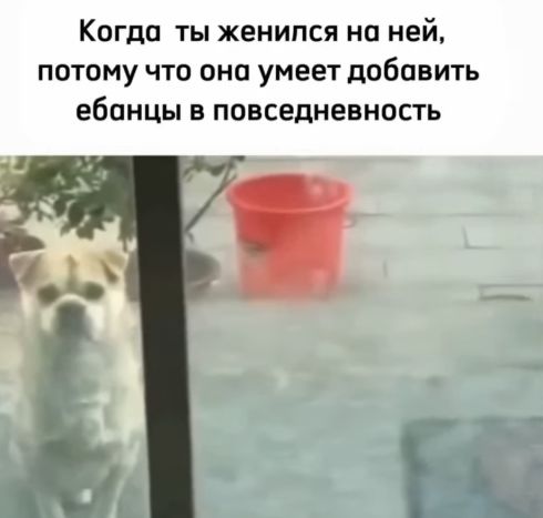 Умеет добавить...⁠⁠