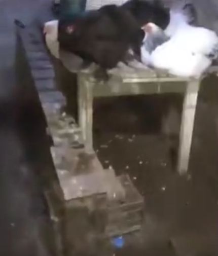 Прикрывали, как могли...