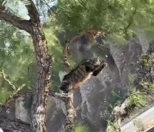 Главное что удобно⁠⁠