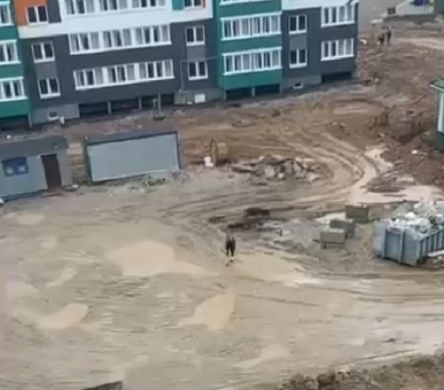 Как парень оригинально спас кроссовки от грязи