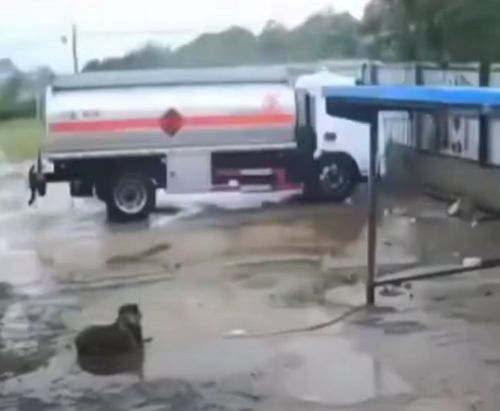 Она это сделала