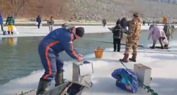 Давайте не будем мешать, а просто понаблюдаем за ними
