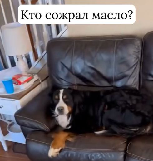 Взгляд выдал⁠⁠