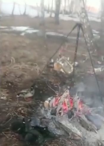 Шулюм пришёл!