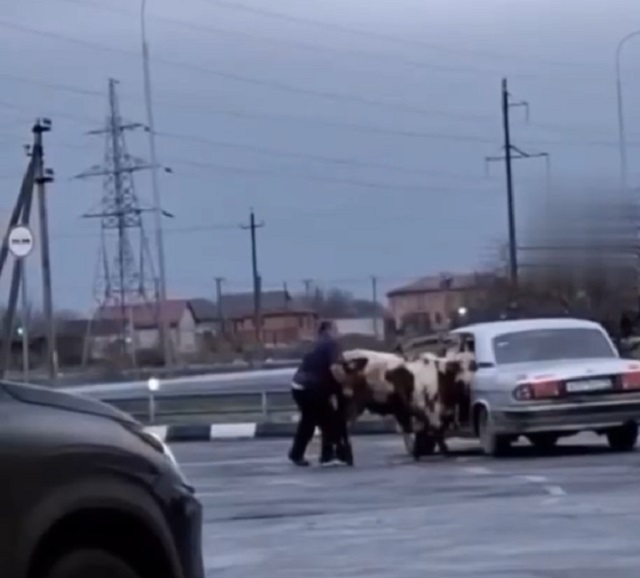 Во Владикавказе увидели самую вместительную Волгу