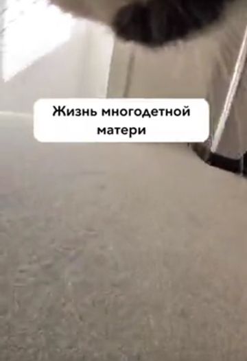 Кошкина мама