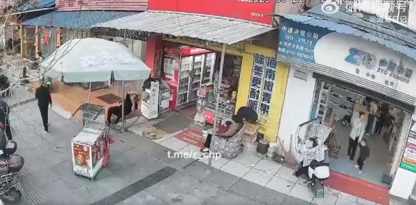 Ничего не предвещало