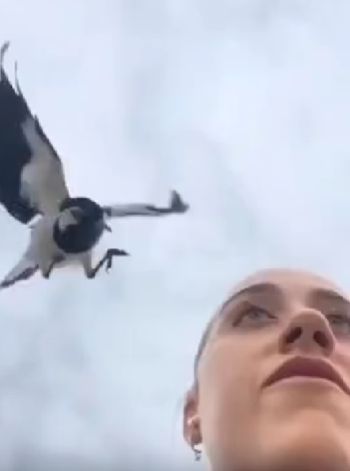 Это было больно!