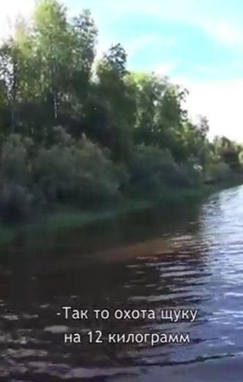 Мечты сбываются