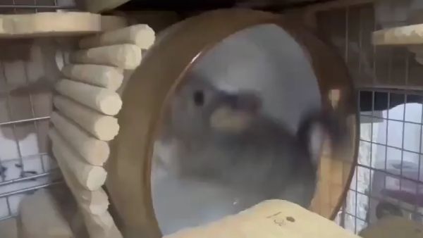 Неожиданно⁠⁠