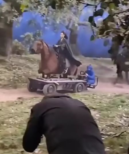 Интересно, что думают другие лошади, когда видят это?⁠⁠