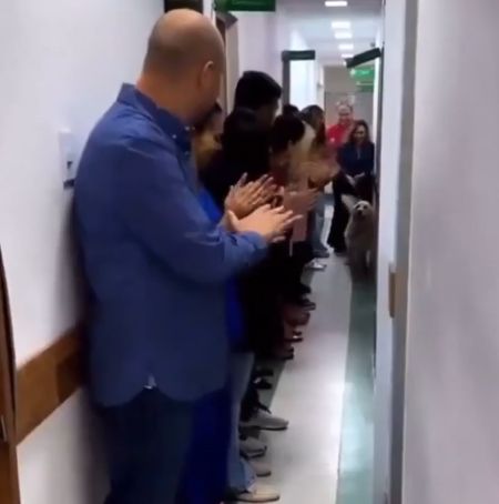 Лаки - он защищал свой дом от злоумышленников и получил несколько выстрелов⁠⁠