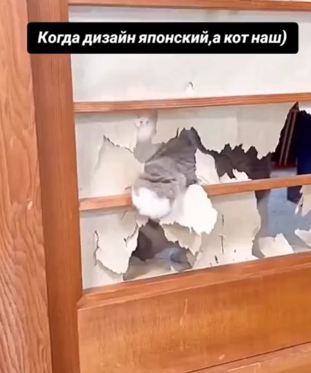 Дизайнер⁠⁠