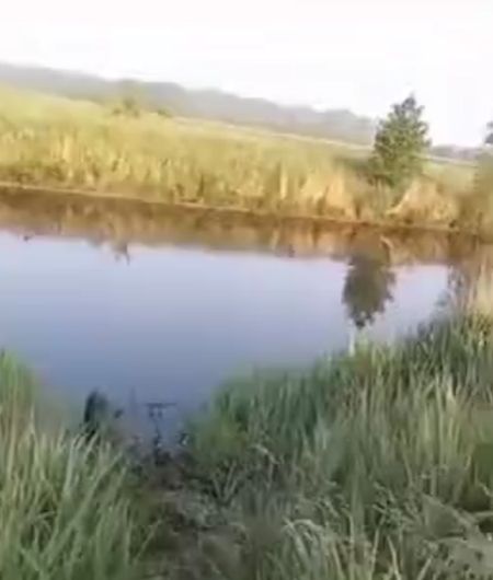 Про рыбалку