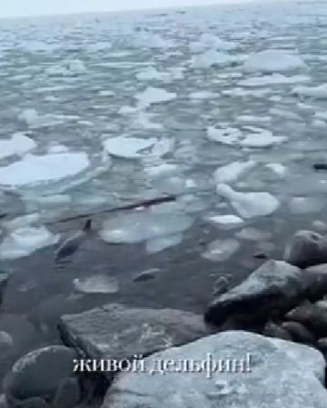 Делай добро и бросай его в воду