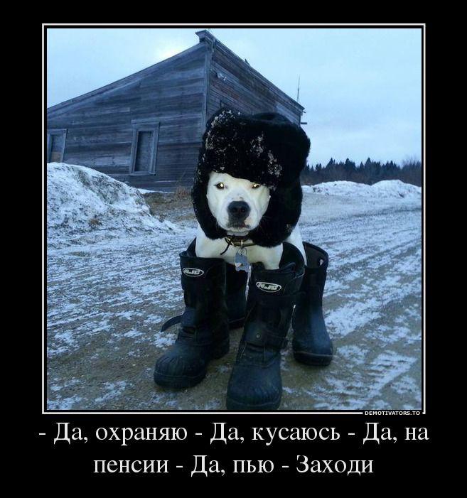 Демотиваторы