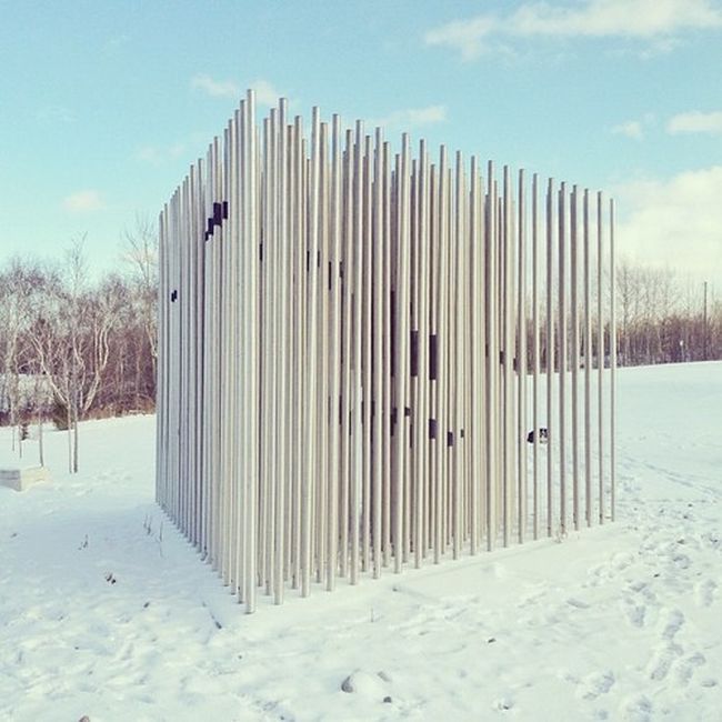 Найдите собаку Момо