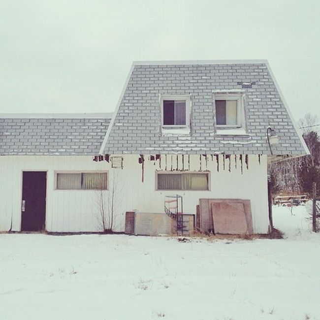 Найдите собаку Момо