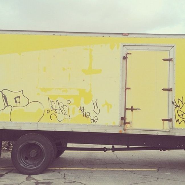 Найдите собаку Момо