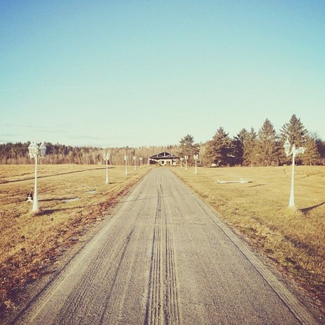 Найдите собаку Момо