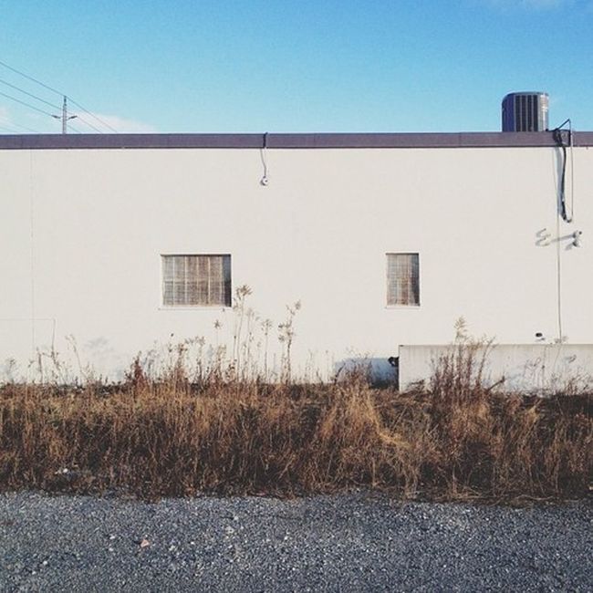 Найдите собаку Момо