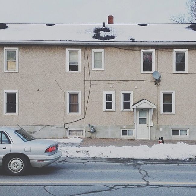 Найдите собаку Момо