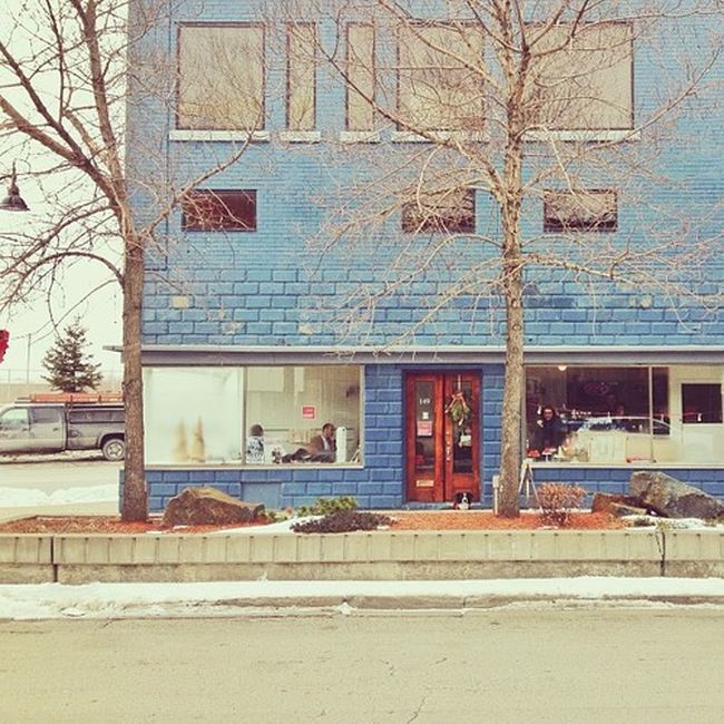 Найдите собаку Момо