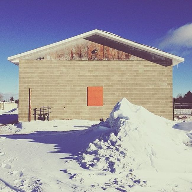 Найдите собаку Момо