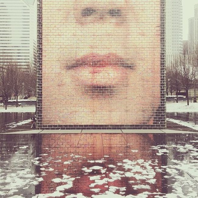 Найдите собаку Момо