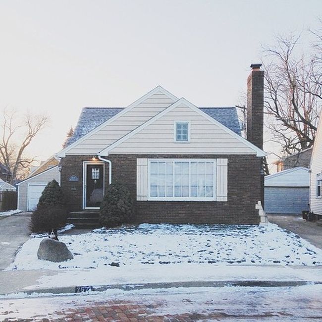 Найдите собаку Момо