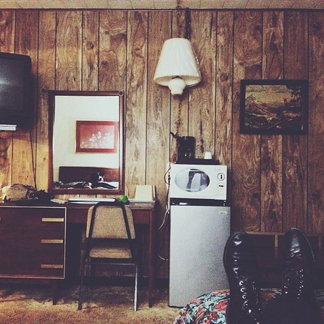 Найдите собаку Момо