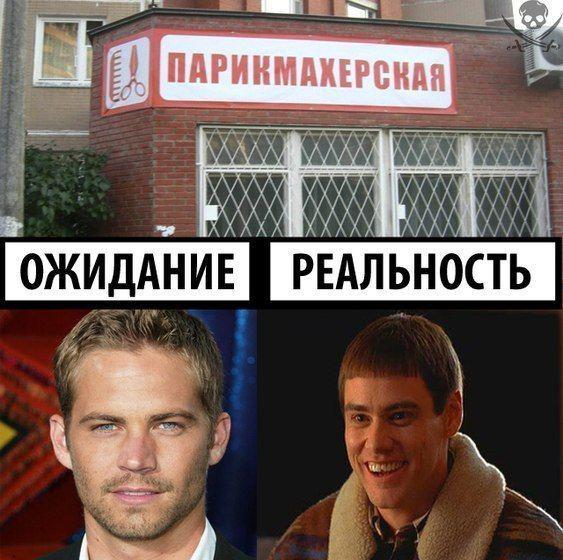 Прикольные картинки
