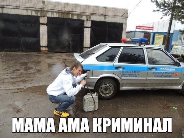 Прикольные картинки (94 фото)