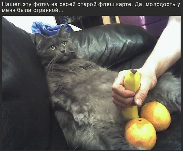 Прикольные картинки (94 фото)