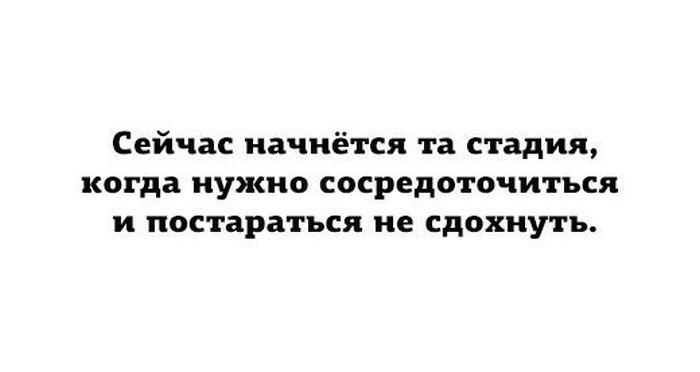 Порция картинок