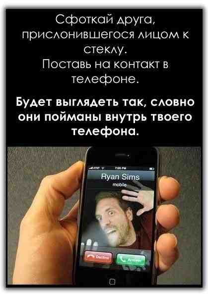 Порция картинок