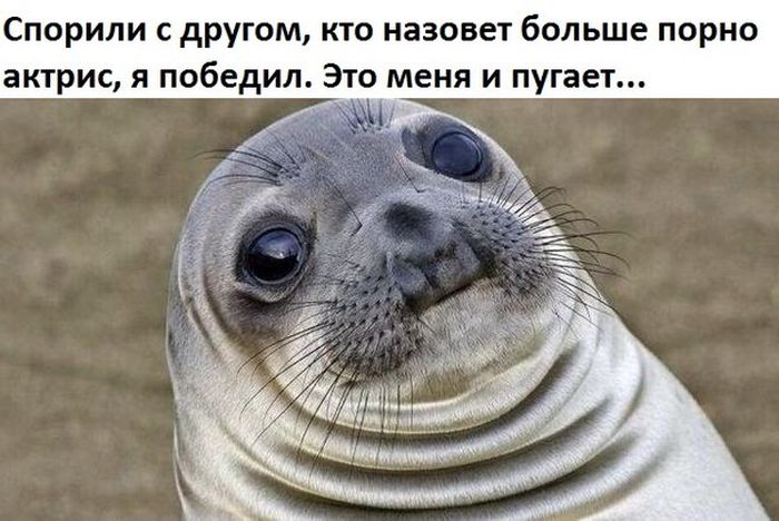 Порция картинок