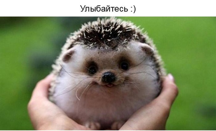 Улыбнитесь