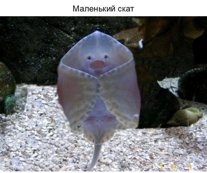 Улыбнитесь