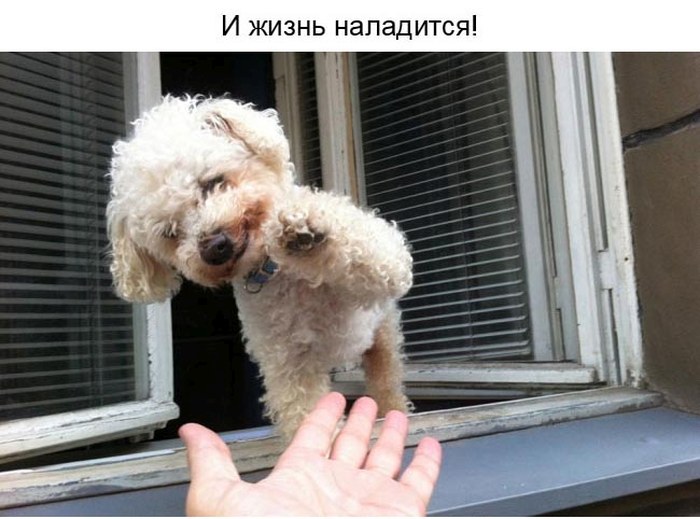 Улыбнитесь