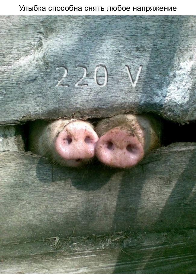 Улыбнитесь