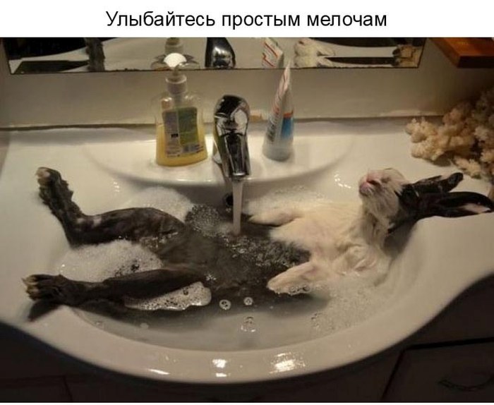 Улыбнитесь