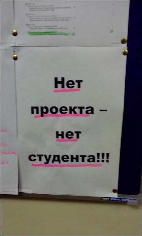 Прикольные картинки (79 фото)